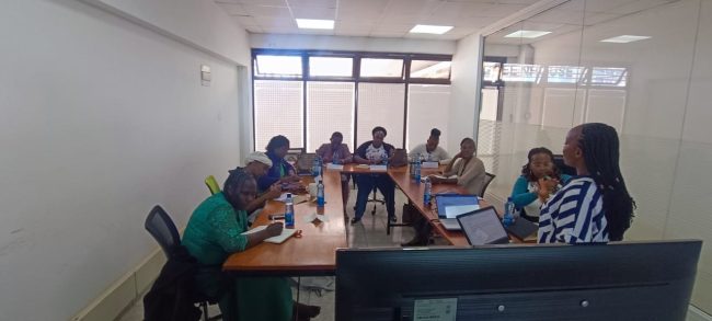 Threefold Widows Ministry: Business Strategy, coaching and financing.